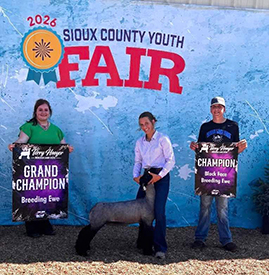 Grand Champion Breeding Ewe
Sioux County Youth Fair